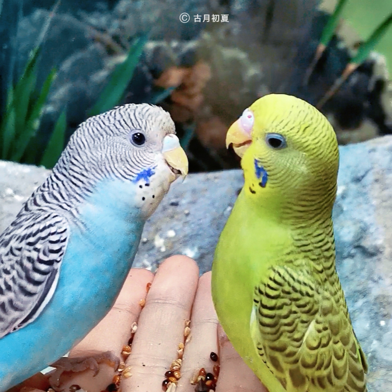 厦门科技馆游玩攻略2-3岁儿童,厦门科技馆每一个馆只能玩一次吗