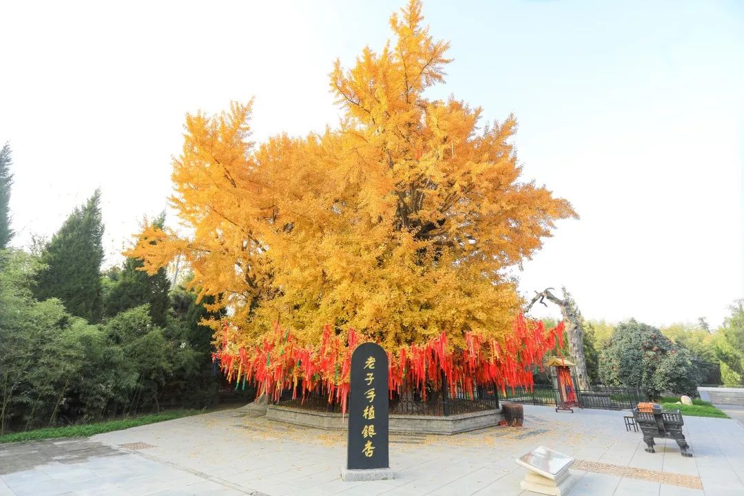 你真的很熟悉楼观台吗？看完这篇你才敢说“yes”