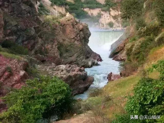 伊犁可克达拉草原,伊犁草原之旅