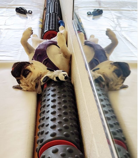 自我软组织放松练习大全（上）