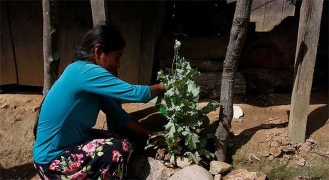 墨西哥最新局势新闻,墨西哥是如何被美国掌控的