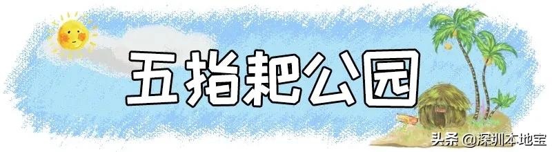 深圳完全免费的十大景点,深圳10大免费景点上集