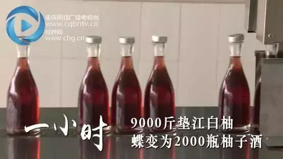 100秒看重庆夜景,100秒看重庆合川