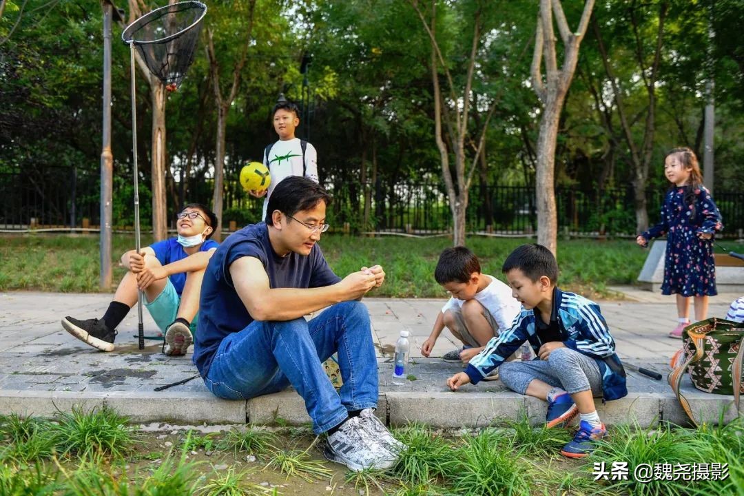 北京北坞公园里的京西稻又熟了,曾经只有皇上才能吃上这儿的大米