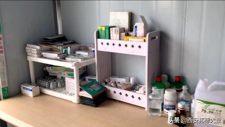 宠物训练学园,宠物训练营学校