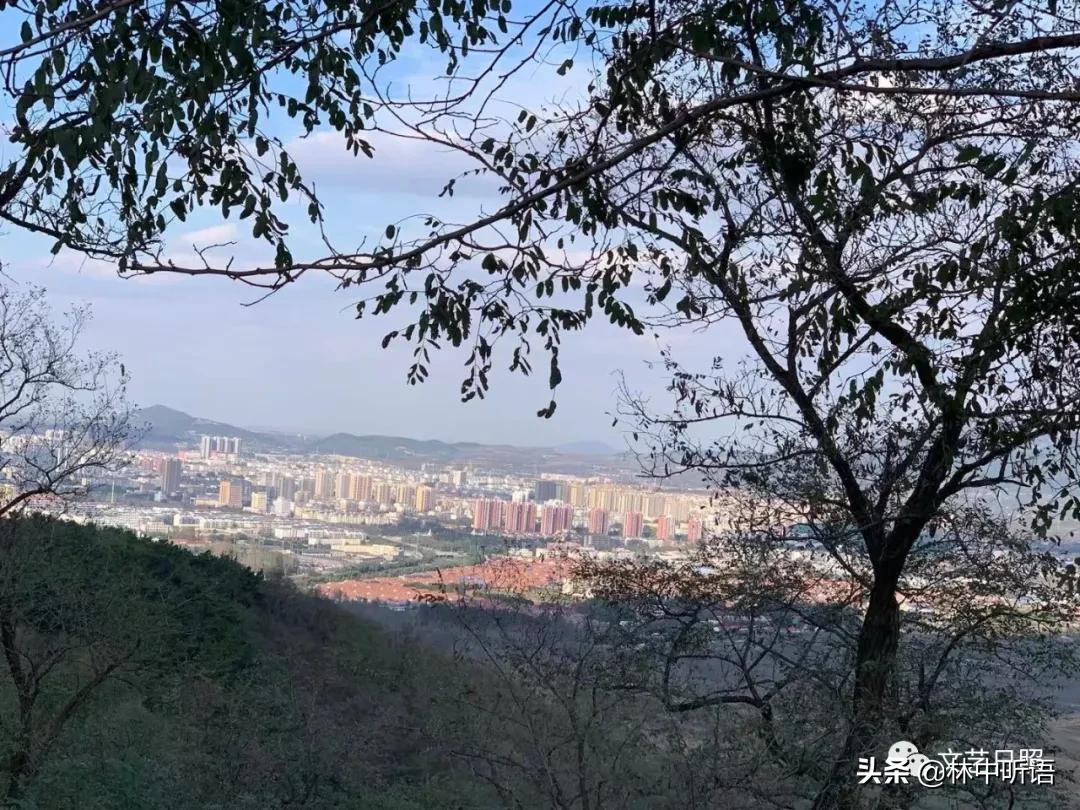 五莲县灵公山阴,“皮胡骚”!还发现了?