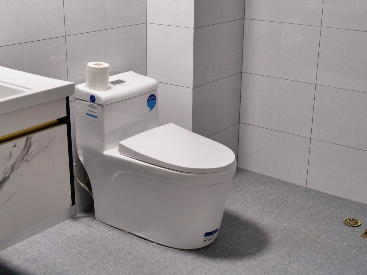 100块小米智能马桶,小米智陶智能马桶好吗