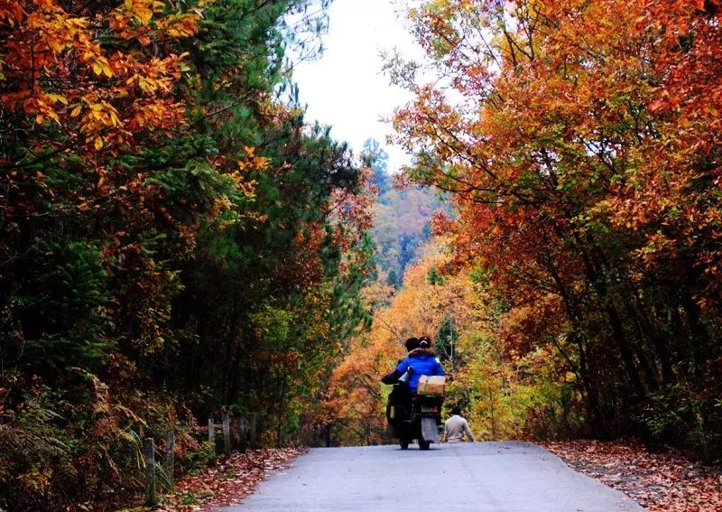 cnn评出中国40个最美的地方,cnn曾评出中国最美40个景点