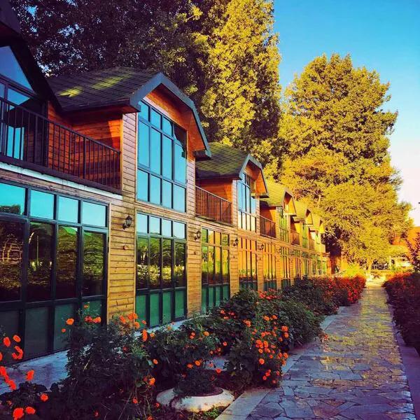 眼看着你从辉煌走向落寞,鹅和鸭农庄的前世今生