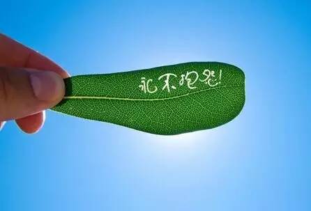 两性择偶观心理学,进化心理学两性择偶观