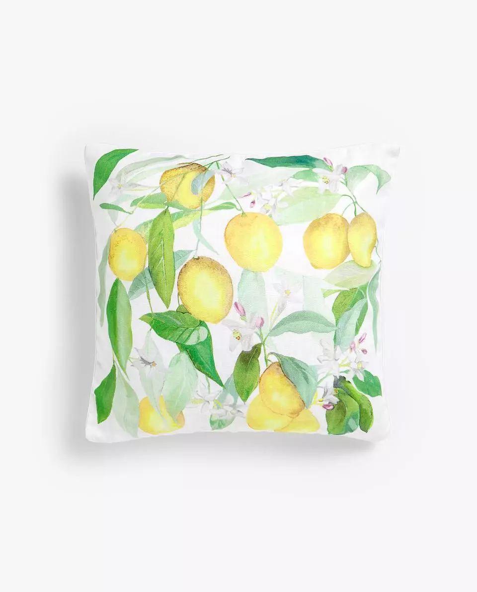 zara新品完整版,zara活力跃动bergamot柠檬精香水