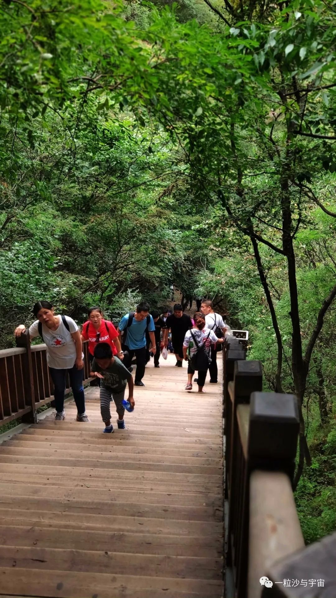 野三坡百里峡天气,野三坡百里峡二日游