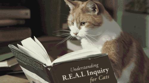 裘皮如何保养,皮草日常保养注意事项大全