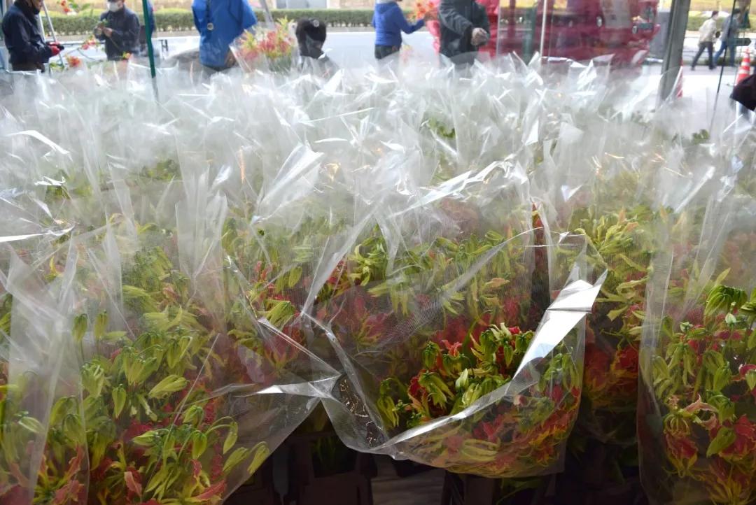 日本草月流：借由一枝花，让明天变得更好