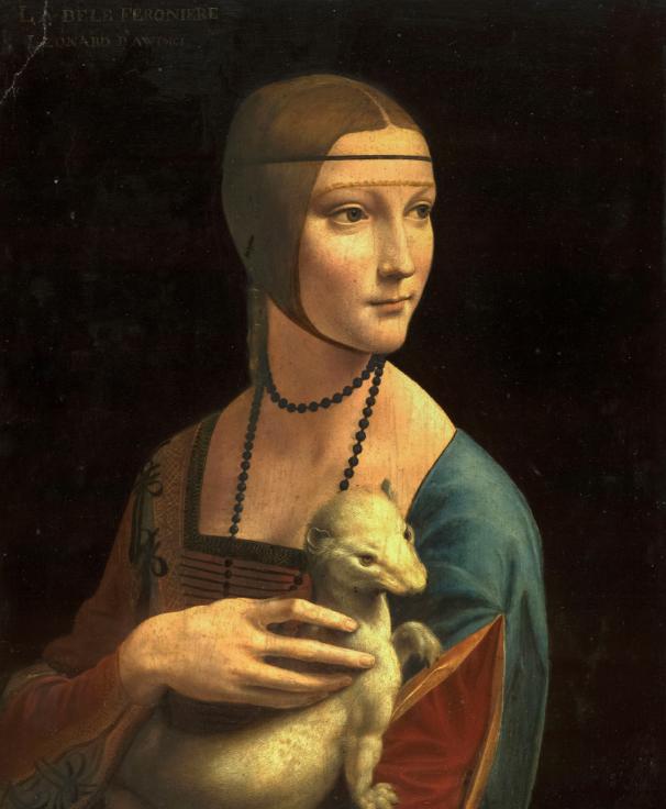 耶稣裹尸布的真实原因,耶稣裹尸布之谜书籍