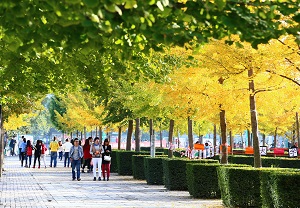 陕西女神学霸:学习好,颜值高,将赴211名校继续深造