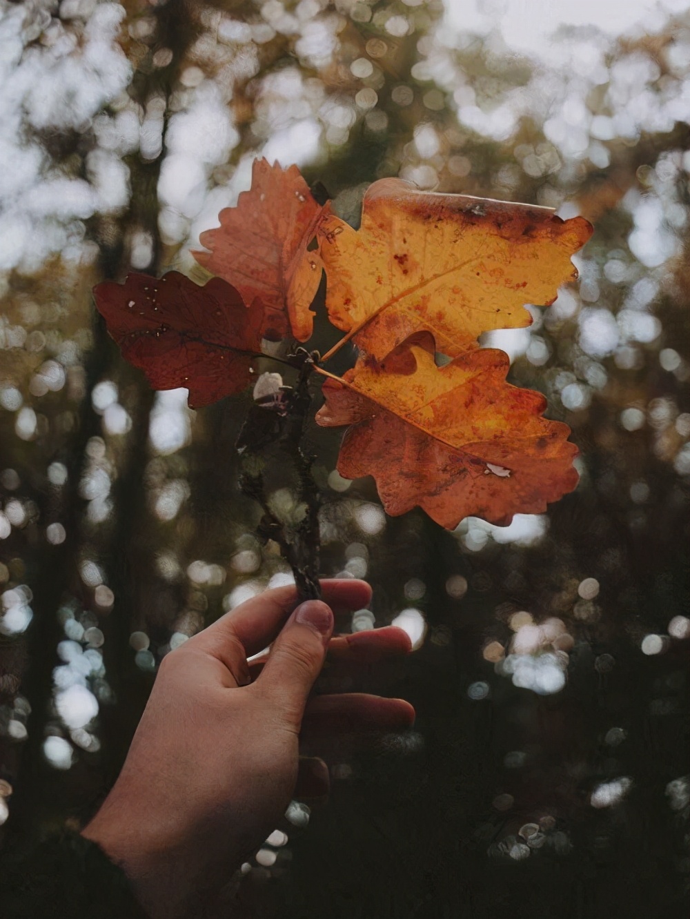 男人爱上你的三个软肋,走进男人心里的三个软肋