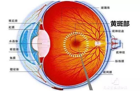 又一个1岁大的宝宝眼睛失明,年轻父母们都长点心