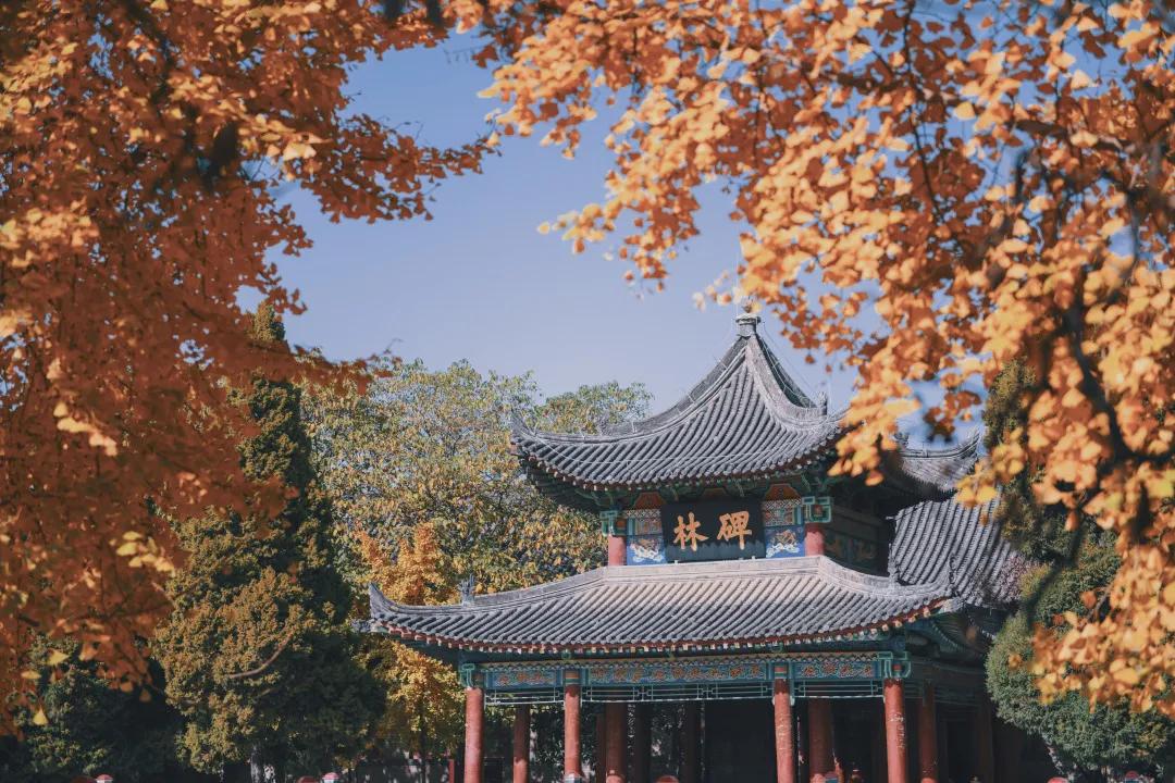 这里有你看不完的风景||行走·碑林①