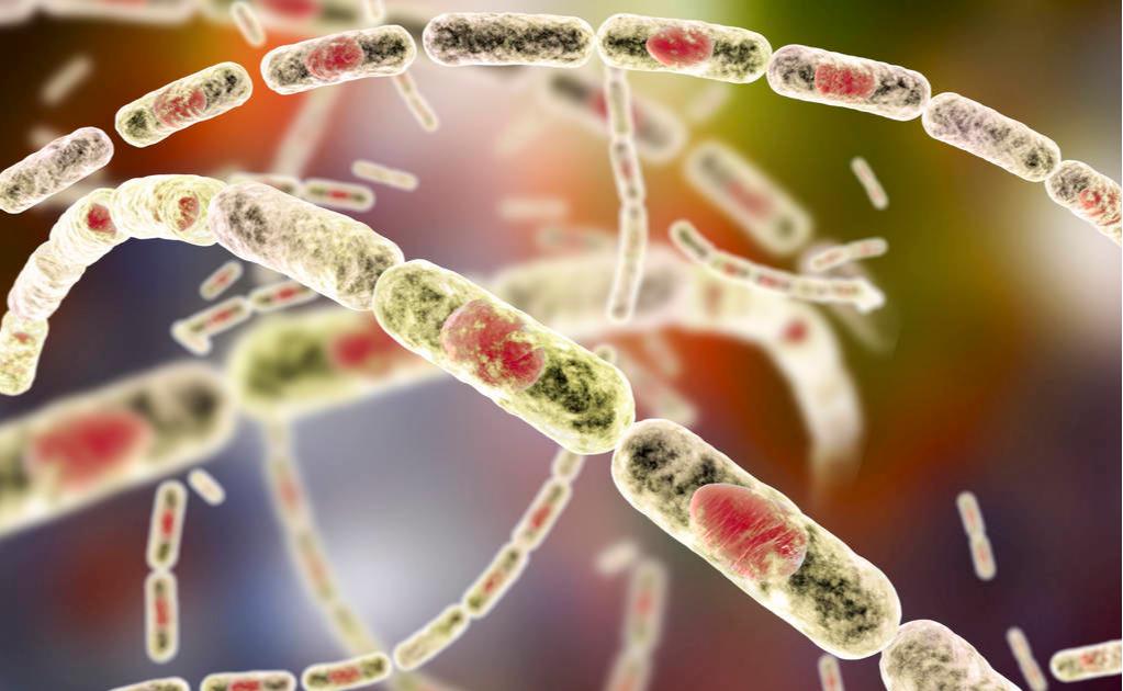 女性萎缩性阴道炎的症状和表现,女性萎缩性阴道炎有什么症状