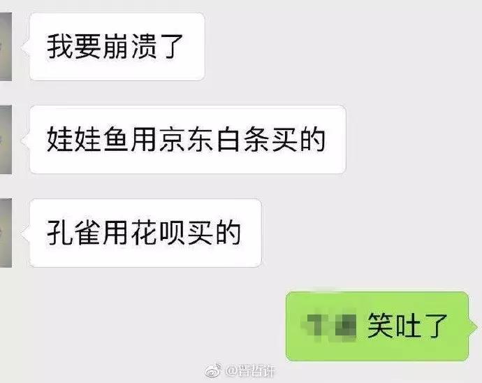 双11购物狂冠军视频,双11购物荒冠军排名