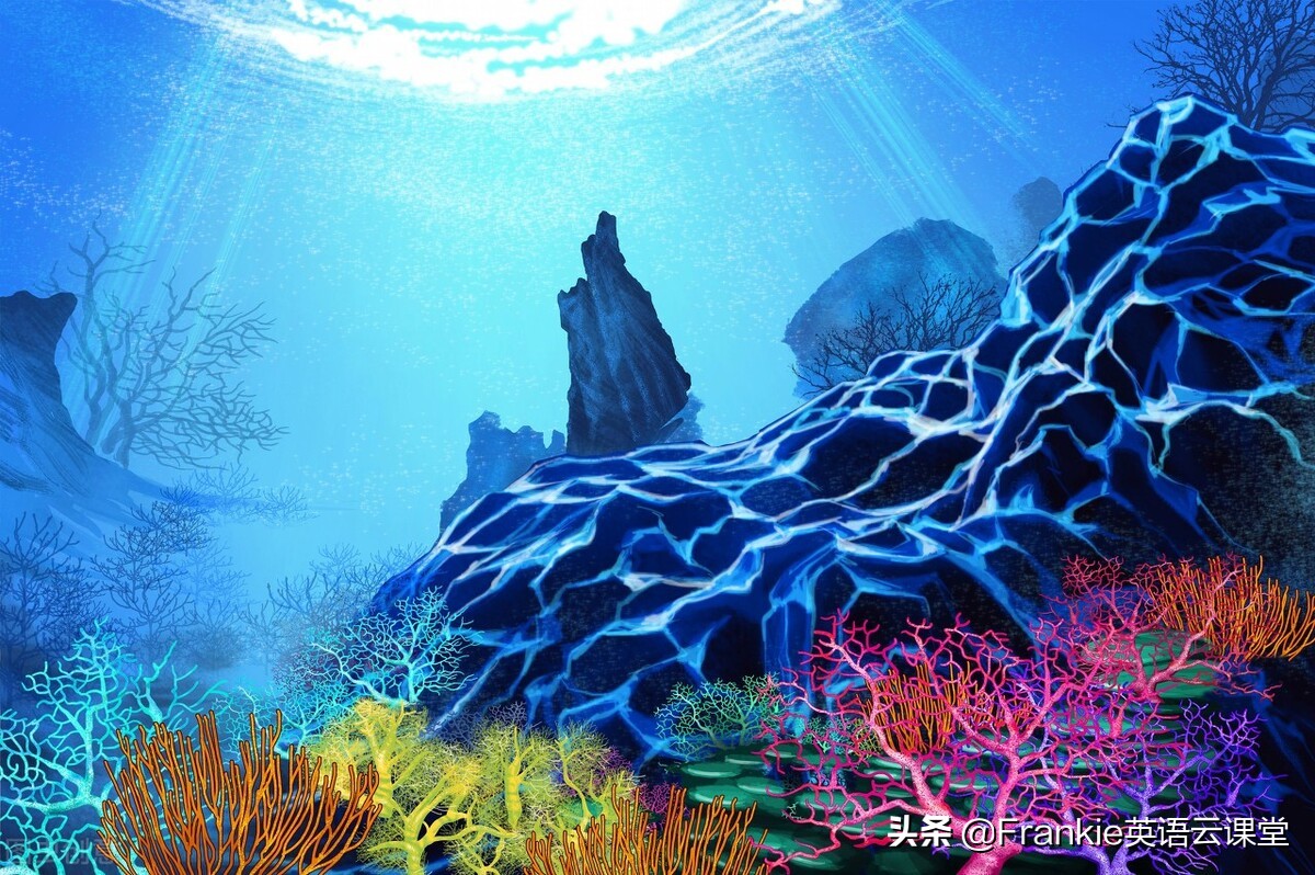 中考英语阅读理解的体裁,中考英语阅读理解二十篇