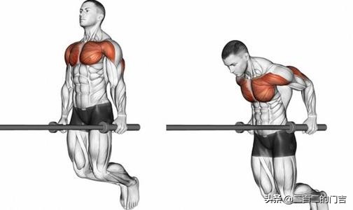 胸肌怎么练不下垂哑铃,胸肌怎么练不大