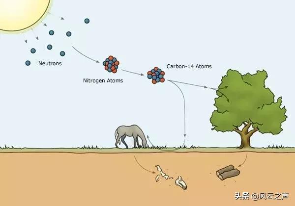 告诉你爸，真酒都有一定放射性，勾兑的假酒才没有