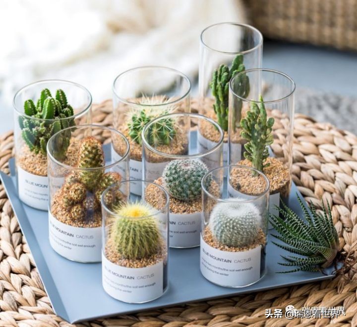 上班一天如何高效完成工作,50个小窍门帮你轻松搞定工作