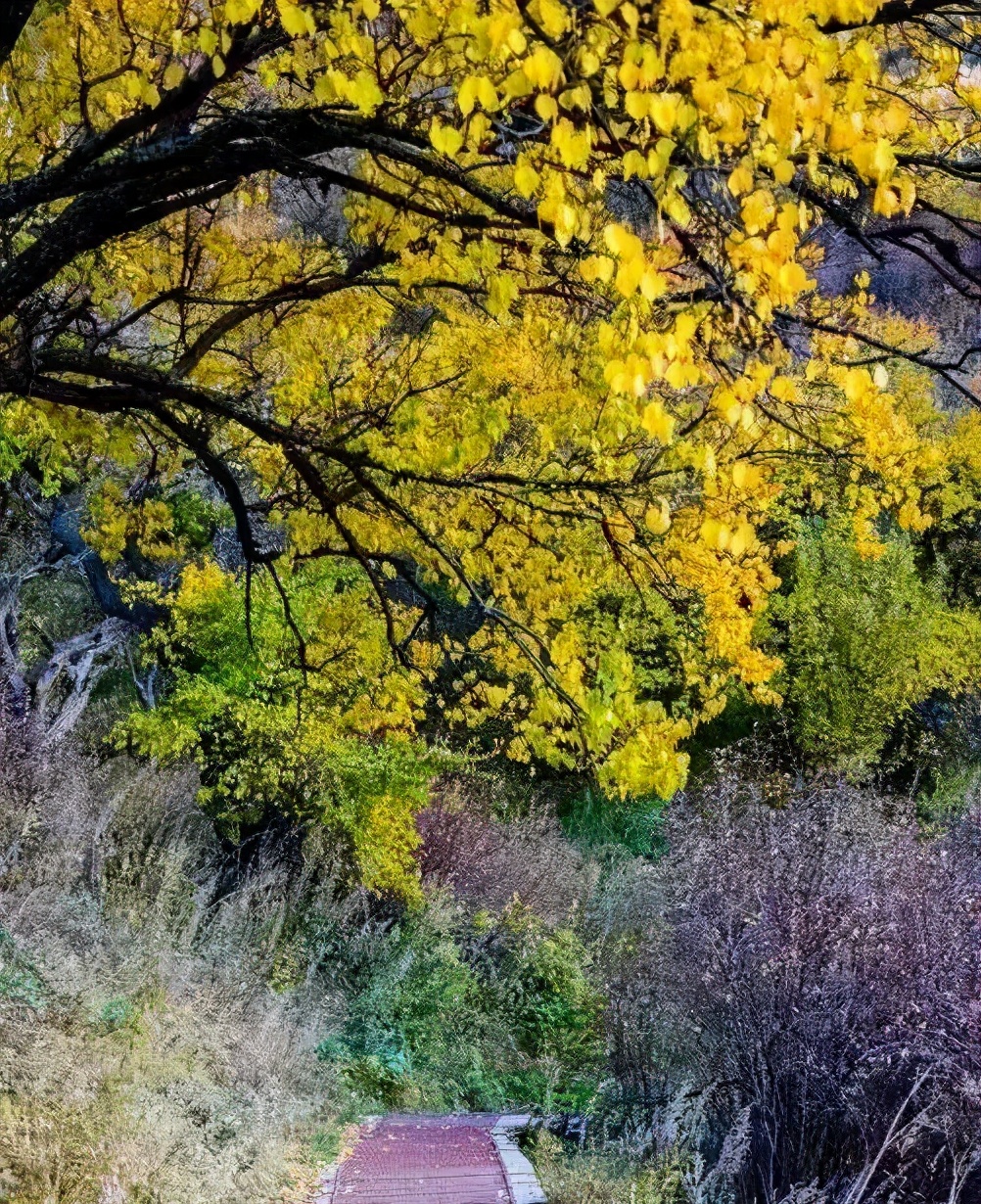 伊犁最美的50处绝色美景,伊犁最美的小众景点