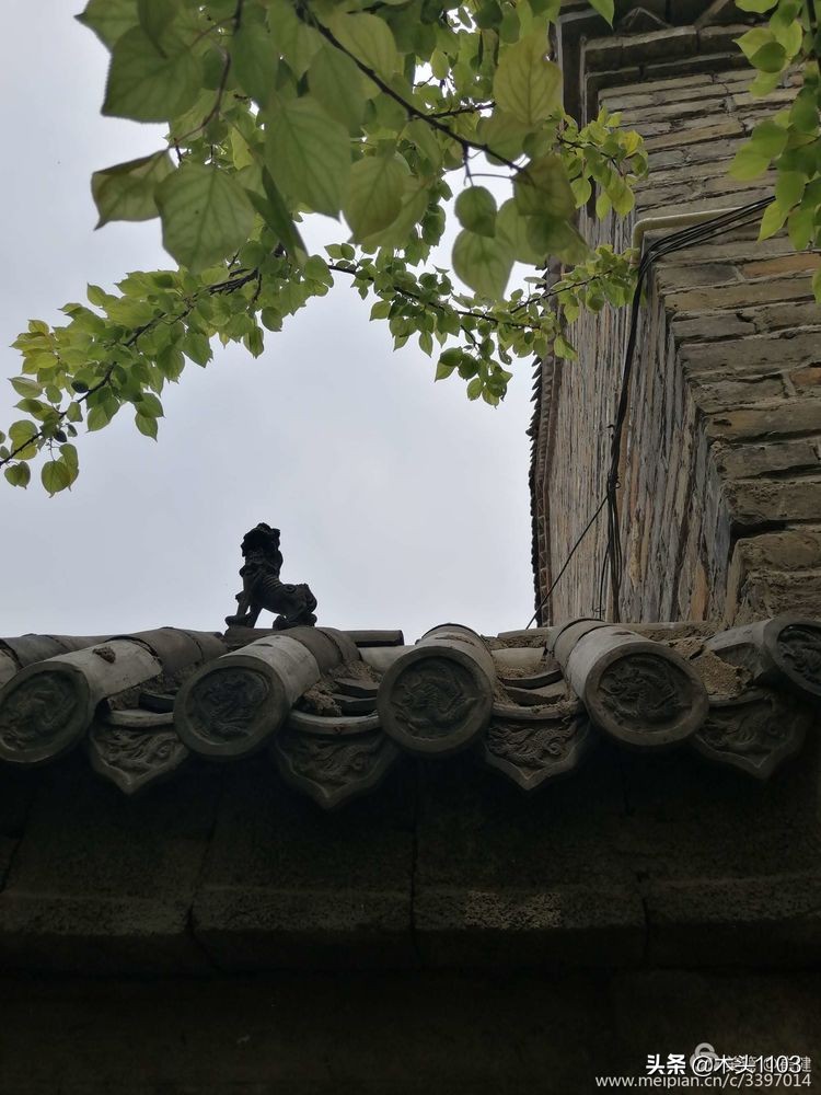 枣庄薛城邹坞镇中陈郝村,枣庄中陈郝村在哪里