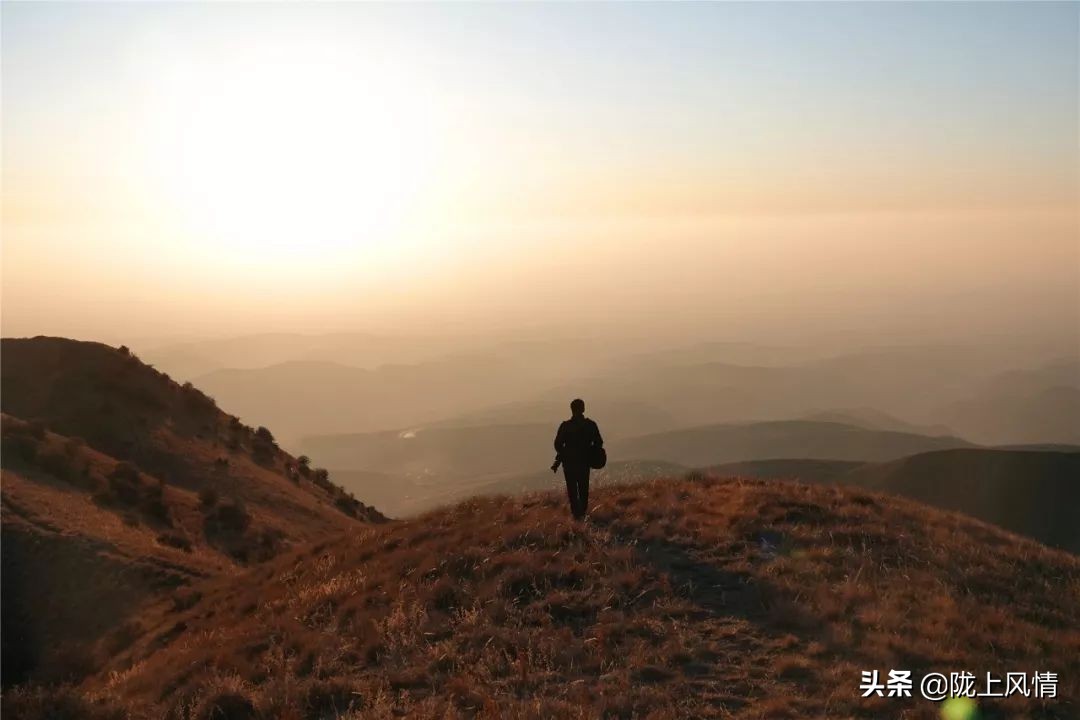 游吴山作文,游辛弃疾公园作文