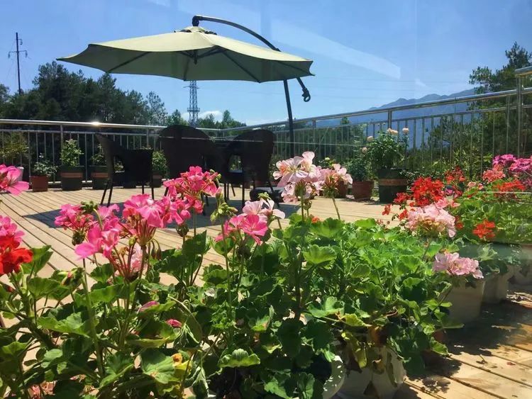 冬去春来，愿你无恙，疫情退去，养肉依旧！