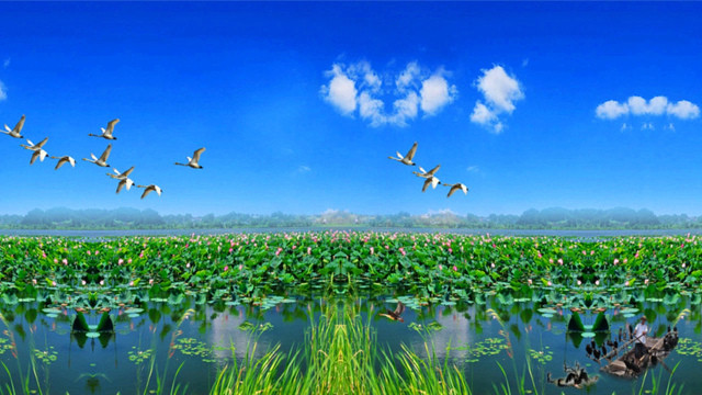 在山东秋天适合去哪儿旅游,山东秋季旅游去哪里好玩