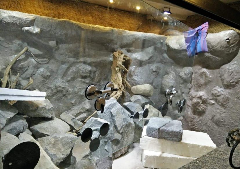 自己做大型水陆缸,在家自己打造一个沙漠缸