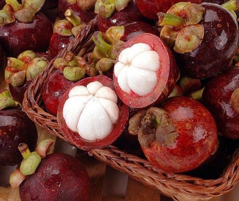 山竹怎么挑选果核少的,山竹怎么挑选5公6母