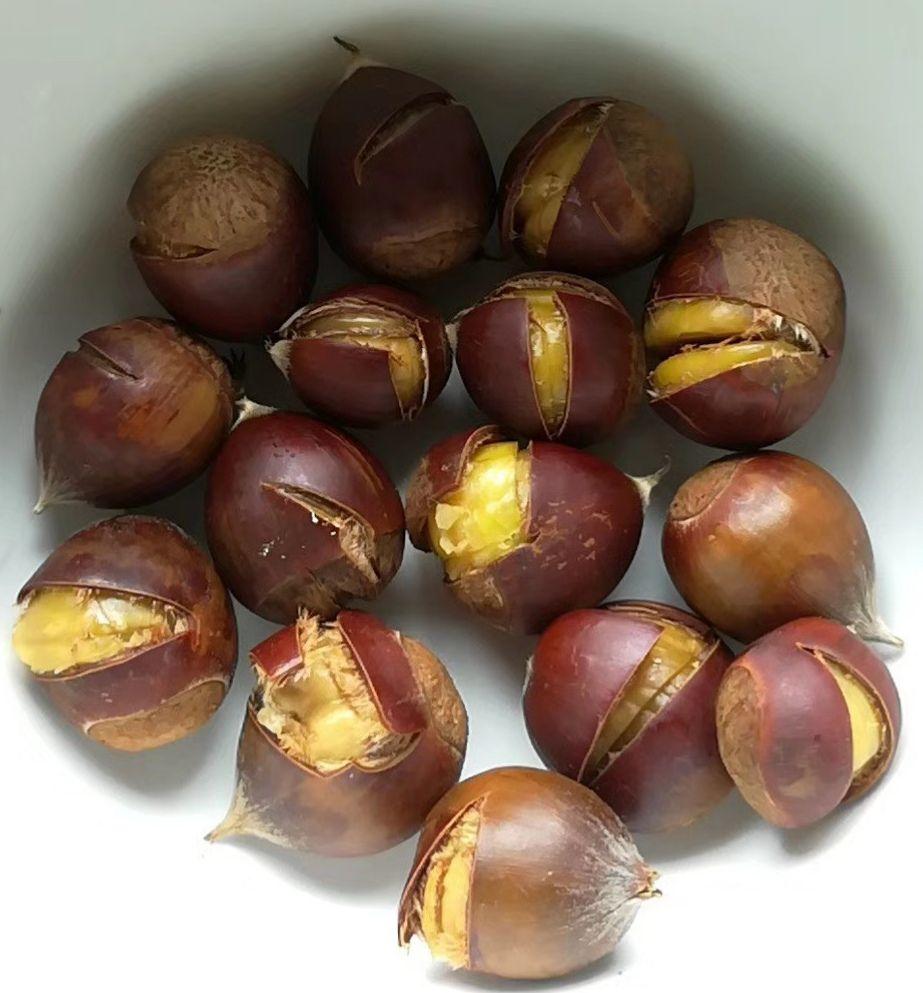 光头强抢松鼠的板栗,松鼠吃板栗吗