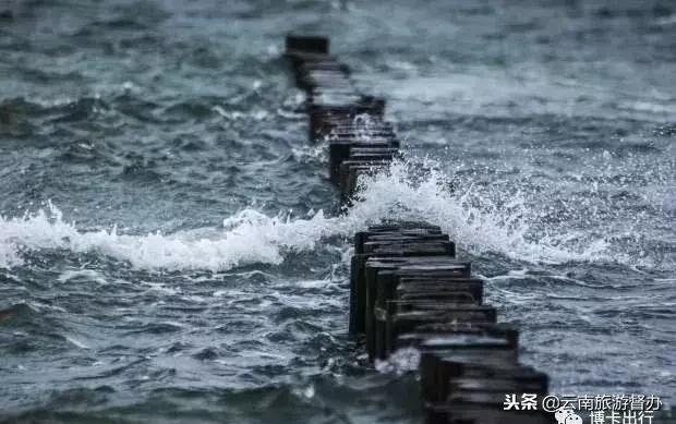 昆明合法的网约车平台,2019年昆明网约车准入车型明细