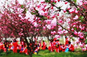 合肥长丰景点,长丰旅游景点推荐自驾游