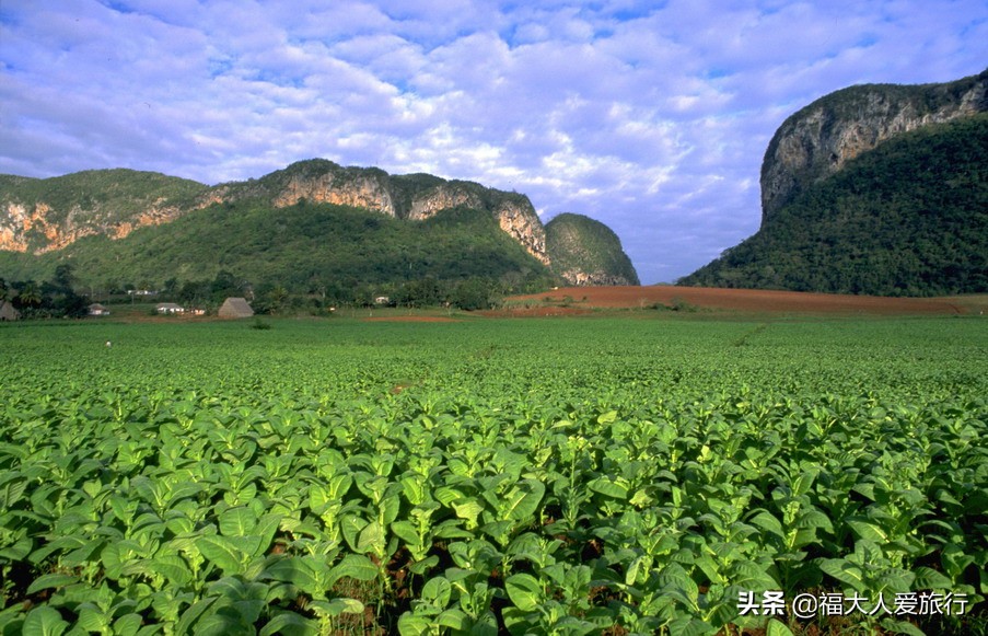 古巴最贵雪茄品牌价格表,最贵的古巴雪茄多少钱一支