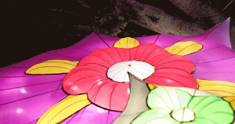 深圳看烟花的最佳地点免费,烟花深圳观看地点