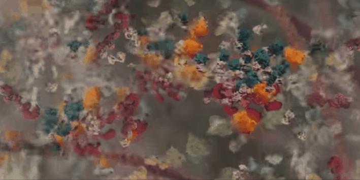 胰岛素是如何导致糖尿病的,胰岛素增多为什么会导致糖尿病