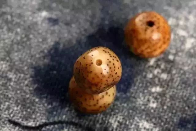 值得盘玩的几种星月,星月各种品种玩出来的区别