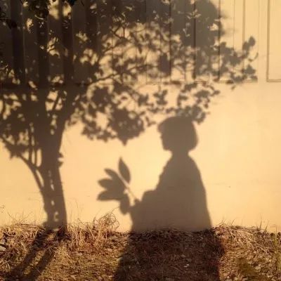 一个人心凉了伤感的句子,伤感的句子人走茶凉