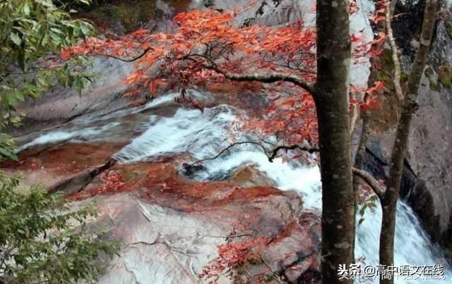 初中需要背诵的古诗词和文言文,文言文背诵方法和技巧