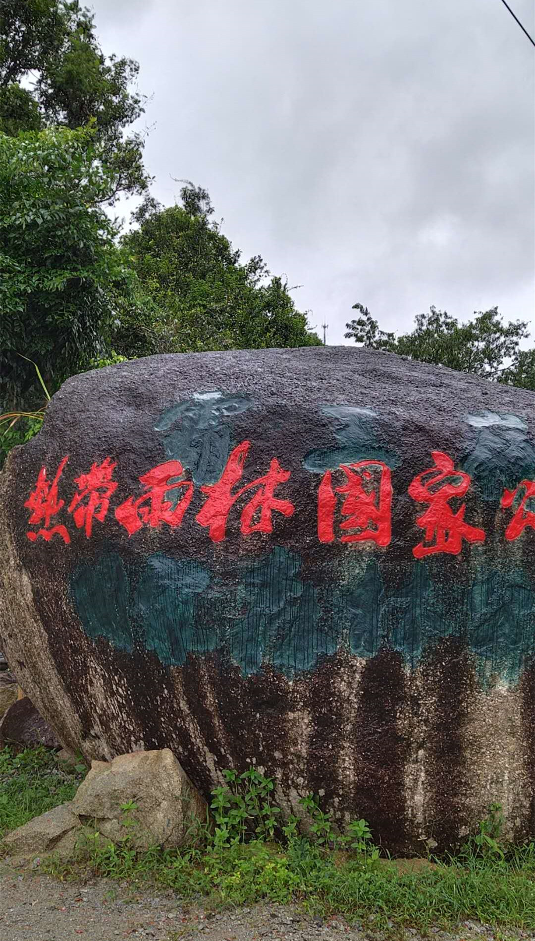 1500年的“母生”藏于此，这里集海南珍稀名木，神奇霸王岭