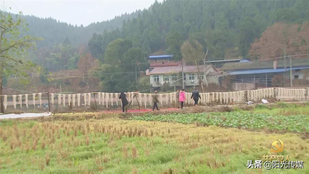 和新镇白腊村,和新镇书记