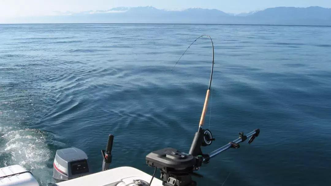 温哥华，超出你期待的钓鱼圣地