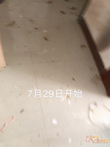 从下水管如何判断2楼会不会反水,2楼有上下水的能买吗