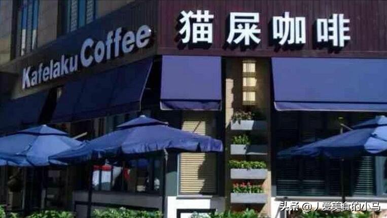 为什么猫屎咖啡好喝,猫屎那么臭怎么有人愿意养猫